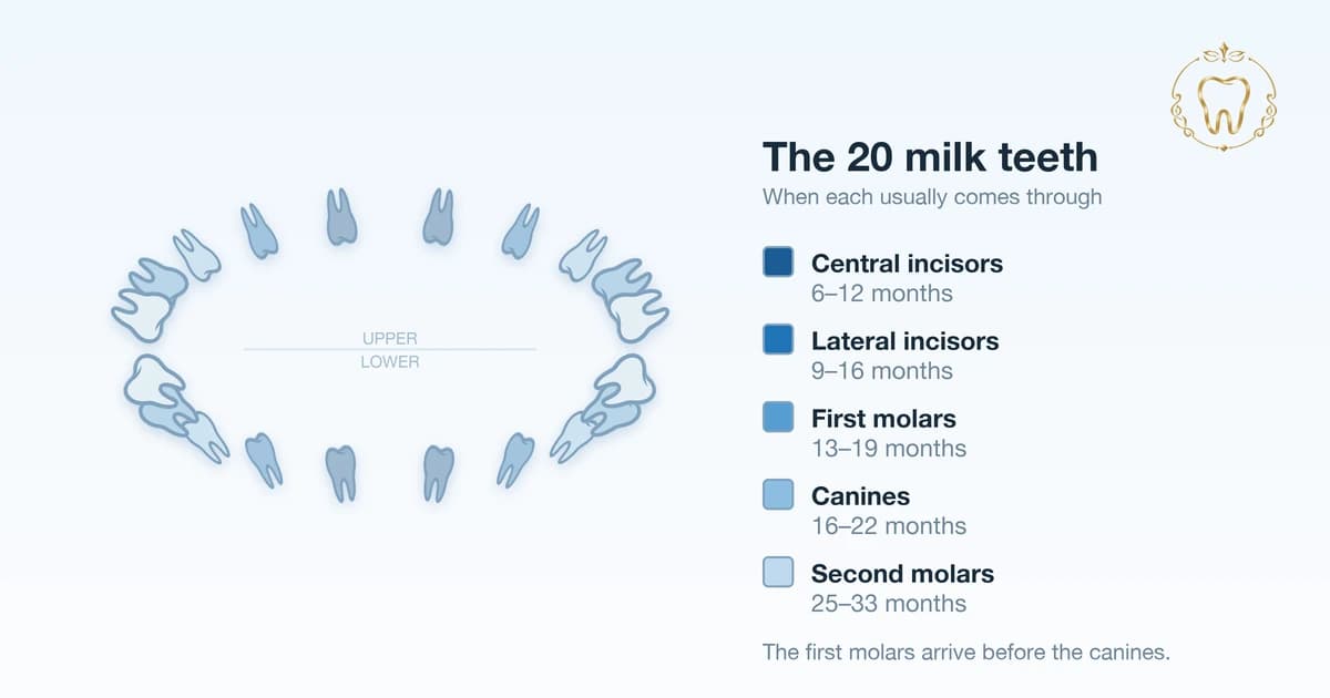 Teething: What Is Normal, What Is Not, and How to Settle a Teething Baby