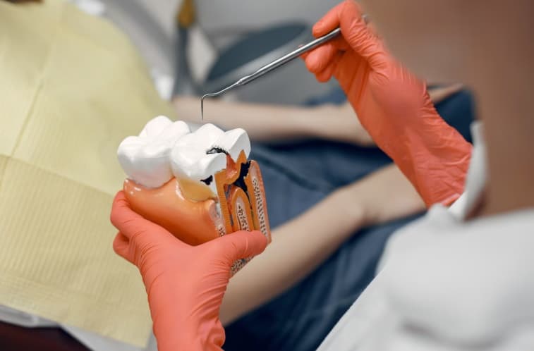 Cosmetic Dentist Near Me in Indirapuram for Smile Design